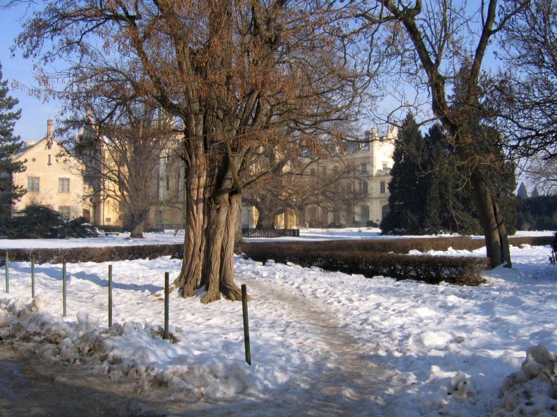 Lednice Schloss Winter 2